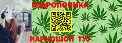эйфоретик Жуковский