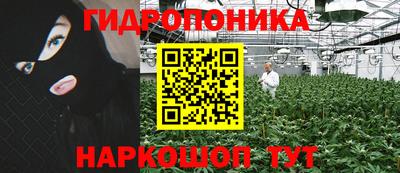 эйфоретик Жуковский