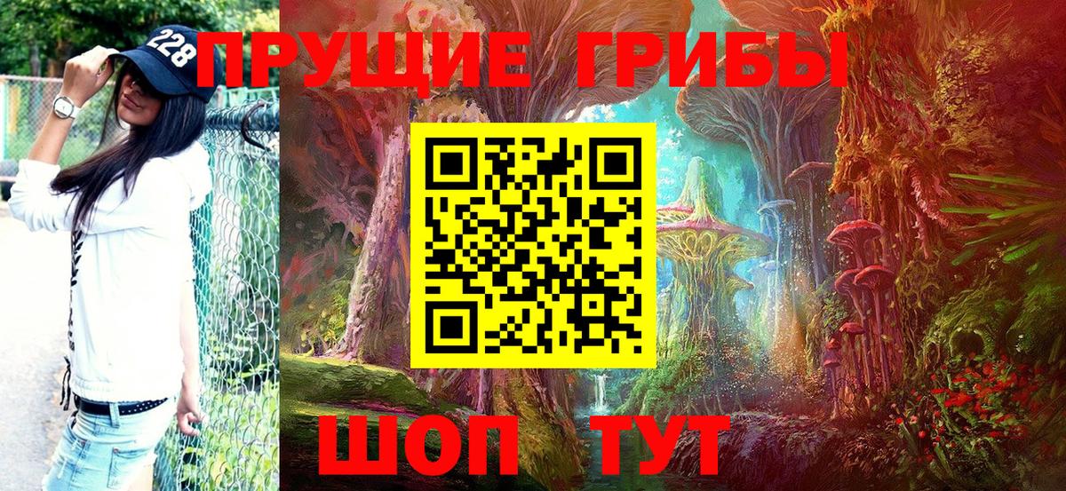 Гурьевск  Галлюциногенные грибы ЛСД  Вход с VPN 