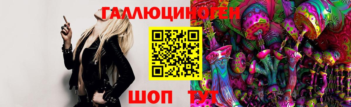 Псилоцибиновые грибы GOLDEN TEACHER Гурьевск